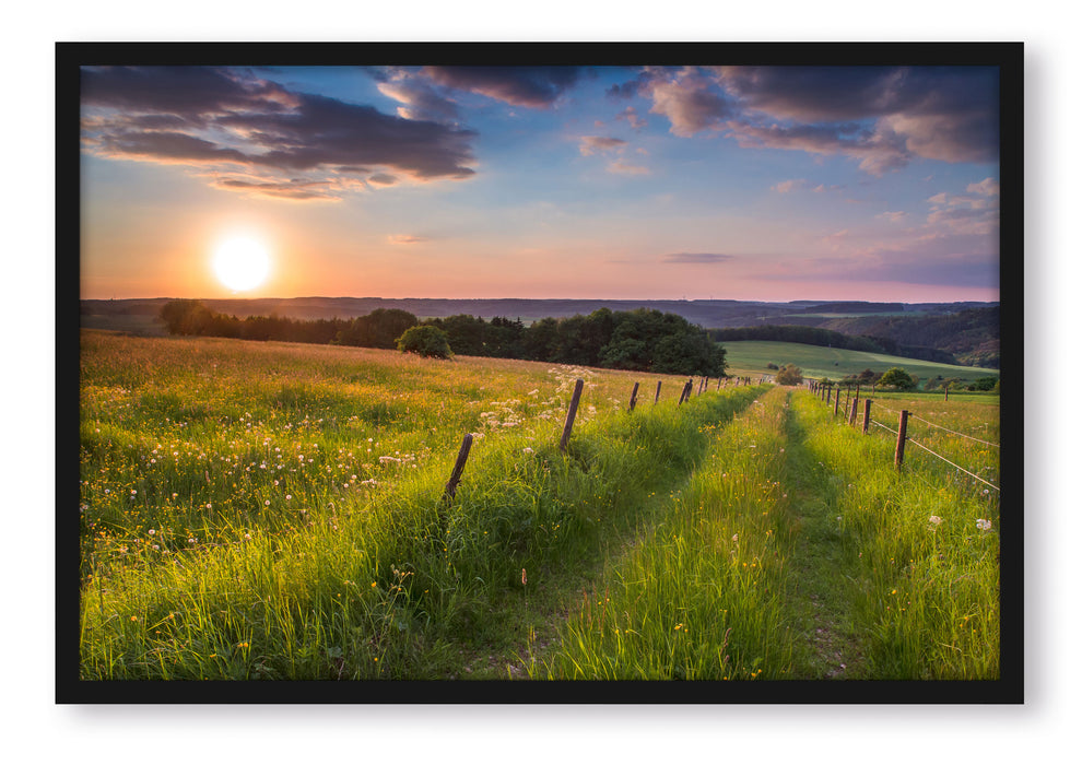 Bergwiese im Sonnenaufgang, Poster mit Bilderrahmen