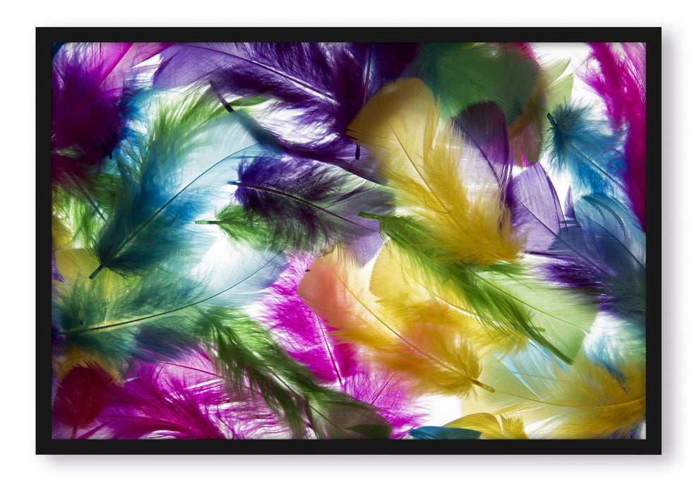 Pixxprint Anordnung von Federn, Poster mit Bilderrahmen