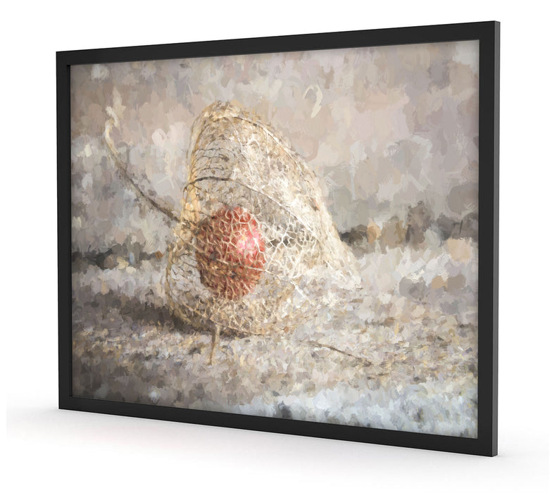 Physalis, Poster mit Bilderrahmen