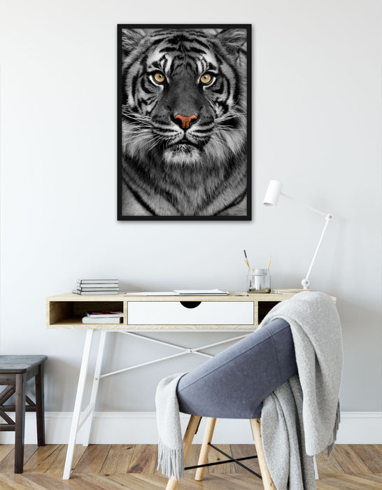 Aufmerksamer Tiger, Poster mit Bilderrahmen