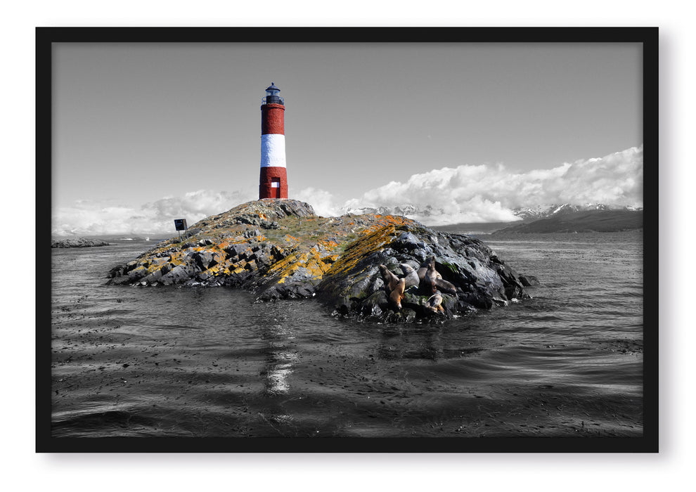 Pixxprint Leuchtturm mit Robben, Poster mit Bilderrahmen