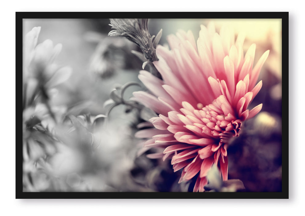 Pixxprint Romantische Blumen, Poster mit Bilderrahmen