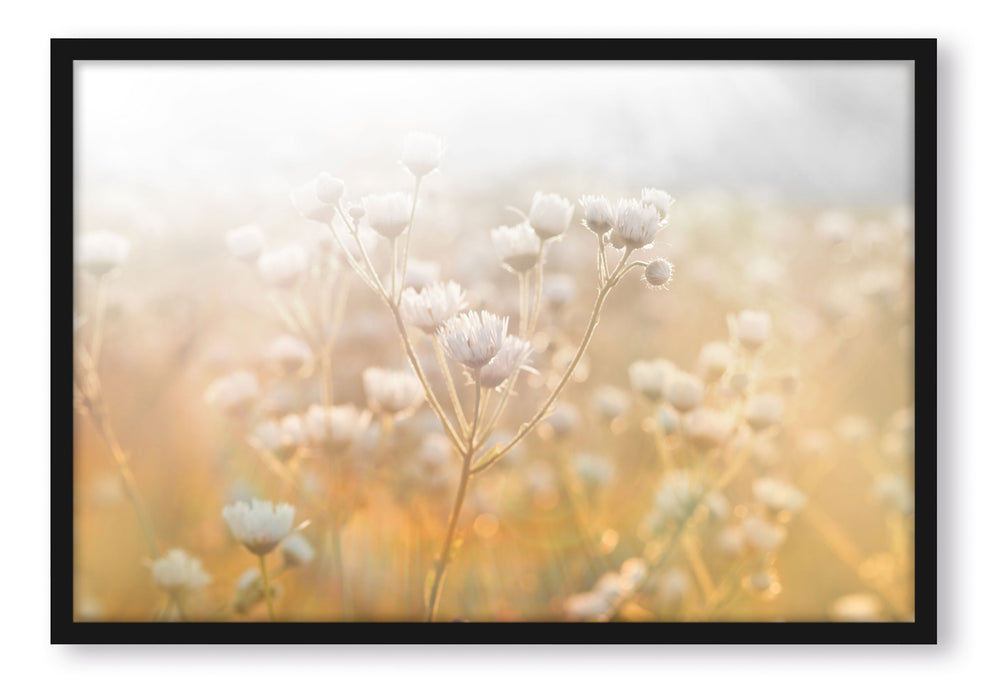 Pixxprint Romantische Blumenwiese, Poster mit Bilderrahmen