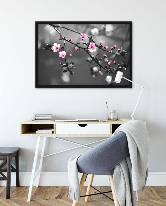 Exotische Sakura Blüten, Poster mit Bilderrahmen