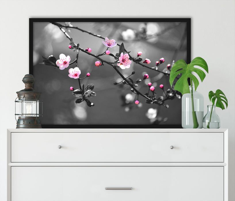 Exotische Sakura Blüten, Poster mit Bilderrahmen