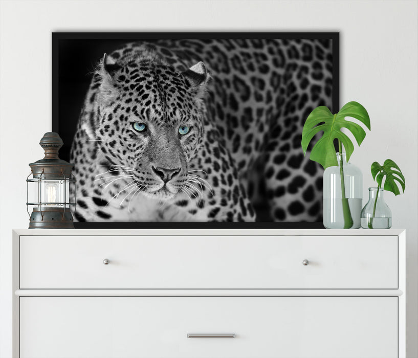 Prächtiger Leopard, Poster mit Bilderrahmen