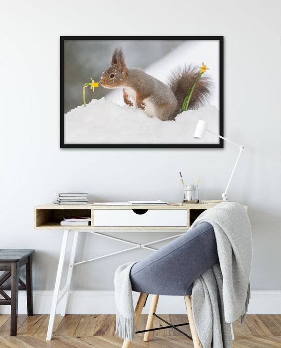 Eichhörnchen im Schnee, Poster mit Bilderrahmen