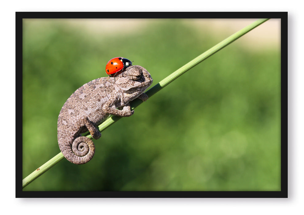 Pixxprint Süßer Gecko mit einem Marienkäfer, Poster mit Bilderrahmen