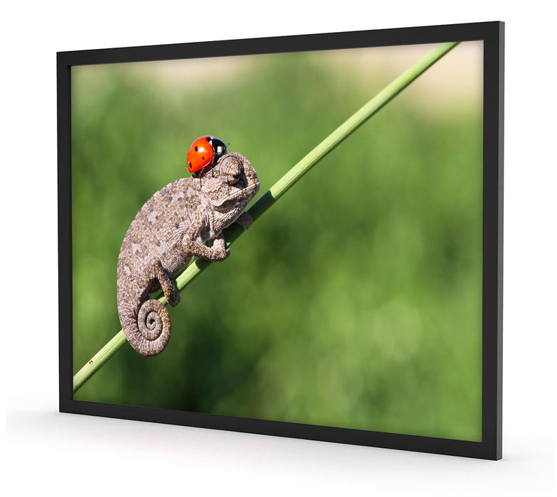 Süßer Gecko mit einem Marienkäfer, Poster mit Bilderrahmen