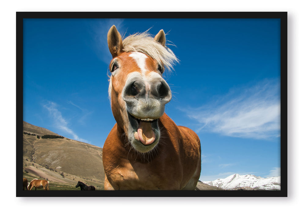 Pixxprint Lustiges Pferd in der Natur, Poster mit Bilderrahmen