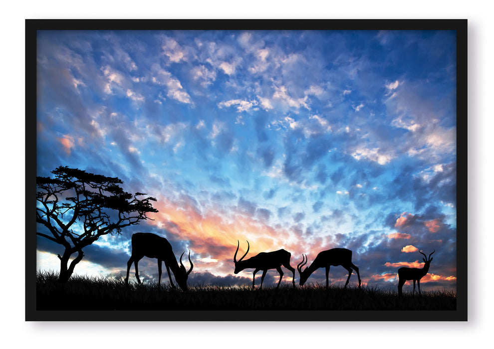 Pixxprint Tiere in der Natur am Abend, Poster mit Bilderrahmen