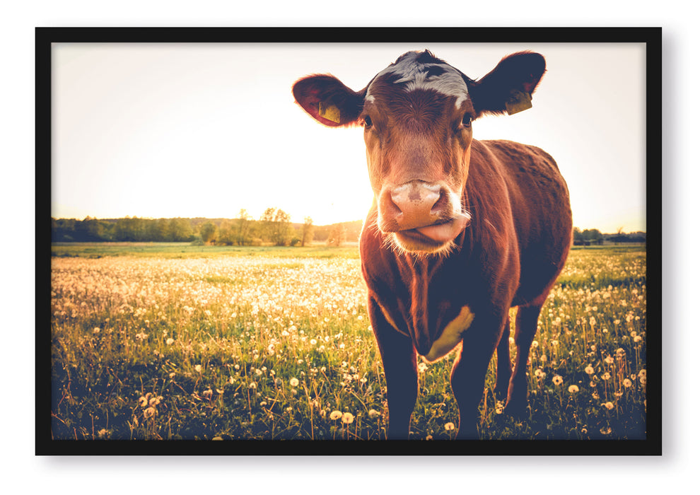 Pixxprint Kuh auf Butterblumenwiese, Poster mit Bilderrahmen