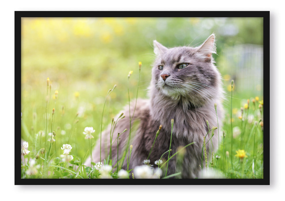 Pixxprint Katze in der Wildnis, Poster mit Bilderrahmen