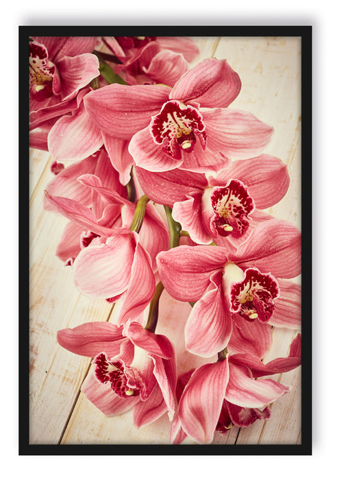 Rosane Orchideenblüten, Poster mit Bilderrahmen