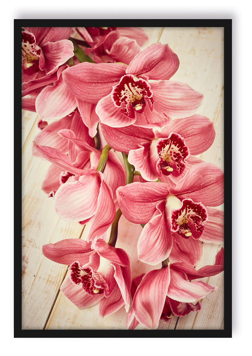 Pixxprint Rosane Orchideenblüten, Poster mit Bilderrahmen