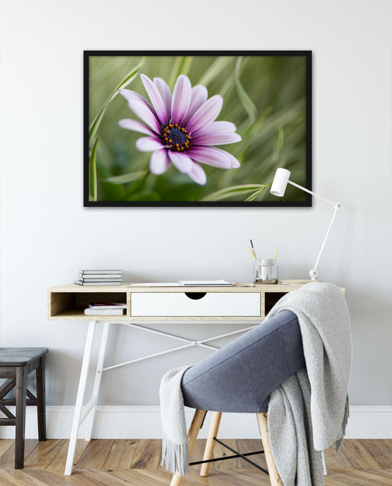 Blume in der Natur, Poster mit Bilderrahmen