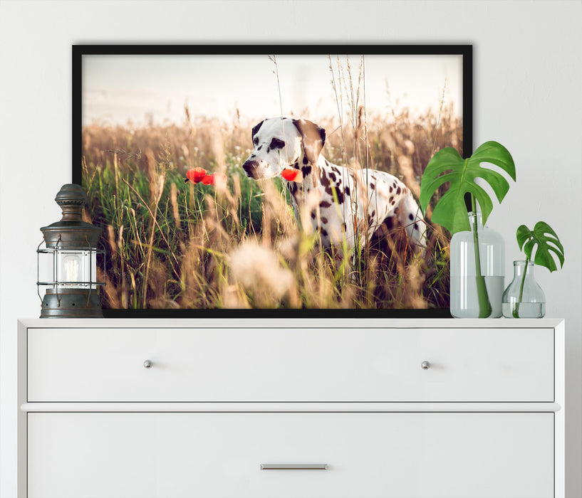 Neugieriger Hund im Feld, Poster mit Bilderrahmen