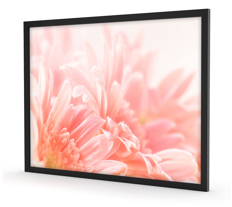 Gerbera Blume, Poster mit Bilderrahmen