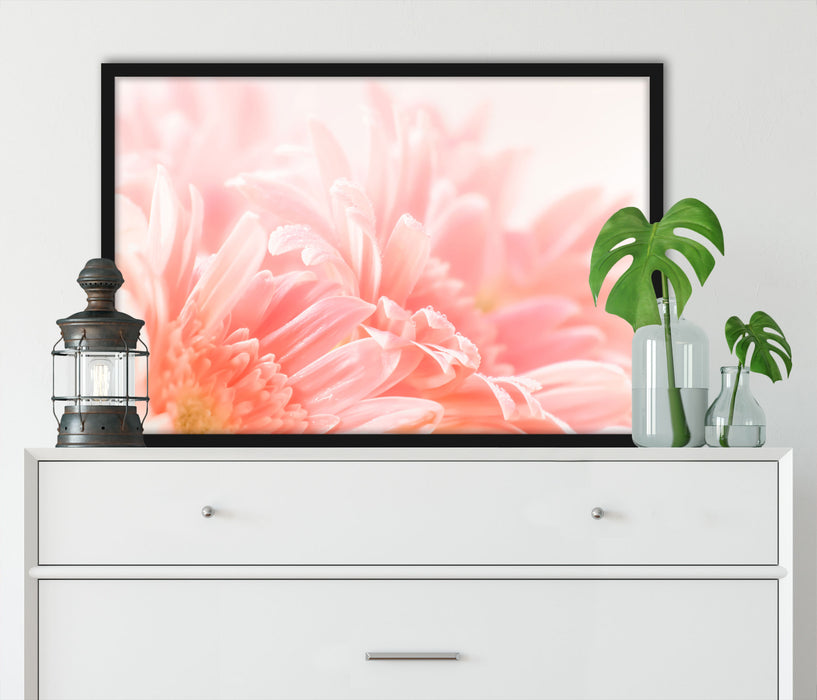 Gerbera Blume, Poster mit Bilderrahmen