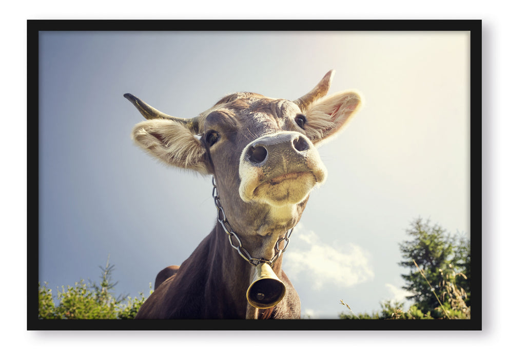 Pixxprint Lustiges Portrait einer Kuh, Poster mit Bilderrahmen