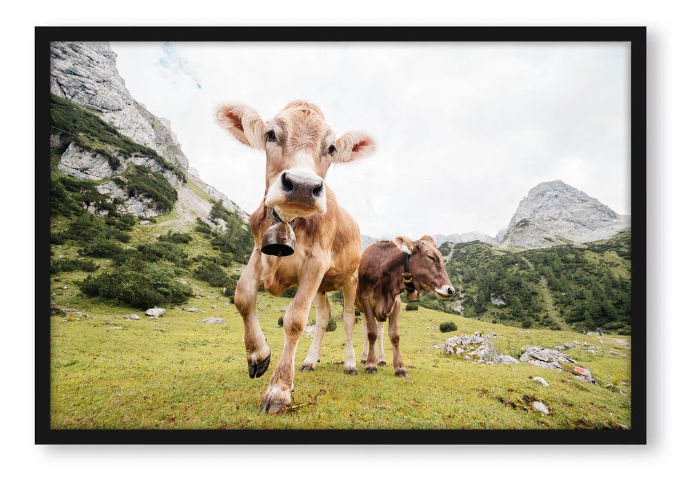 Pixxprint Almkuh auf der Weide, Poster mit Bilderrahmen