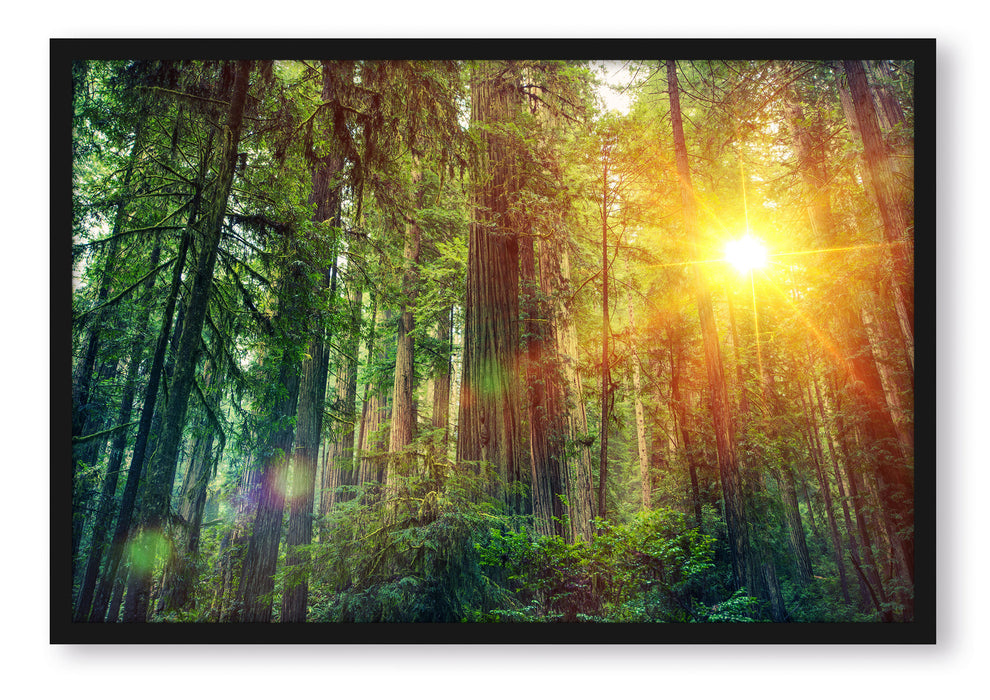 Pixxprint Wald bei Sonnenlicht, Poster mit Bilderrahmen