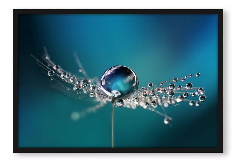 Pixxprint Wassertropfen auf einer Pusteblume, Poster mit Bilderrahmen