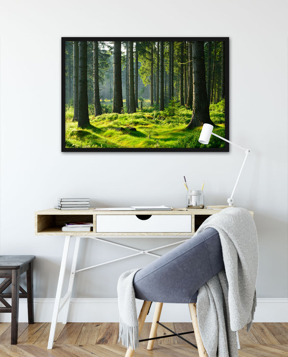 sonniger Tag im Wald, Poster mit Bilderrahmen