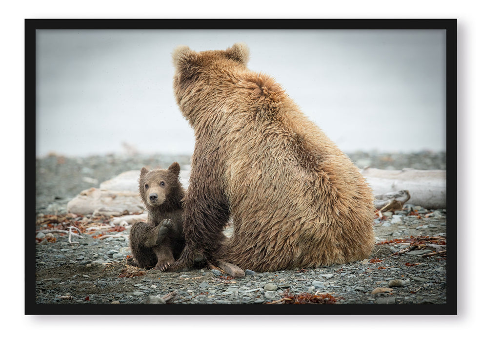 Pixxprint Bär mit Baby nach dem Baden, Poster mit Bilderrahmen