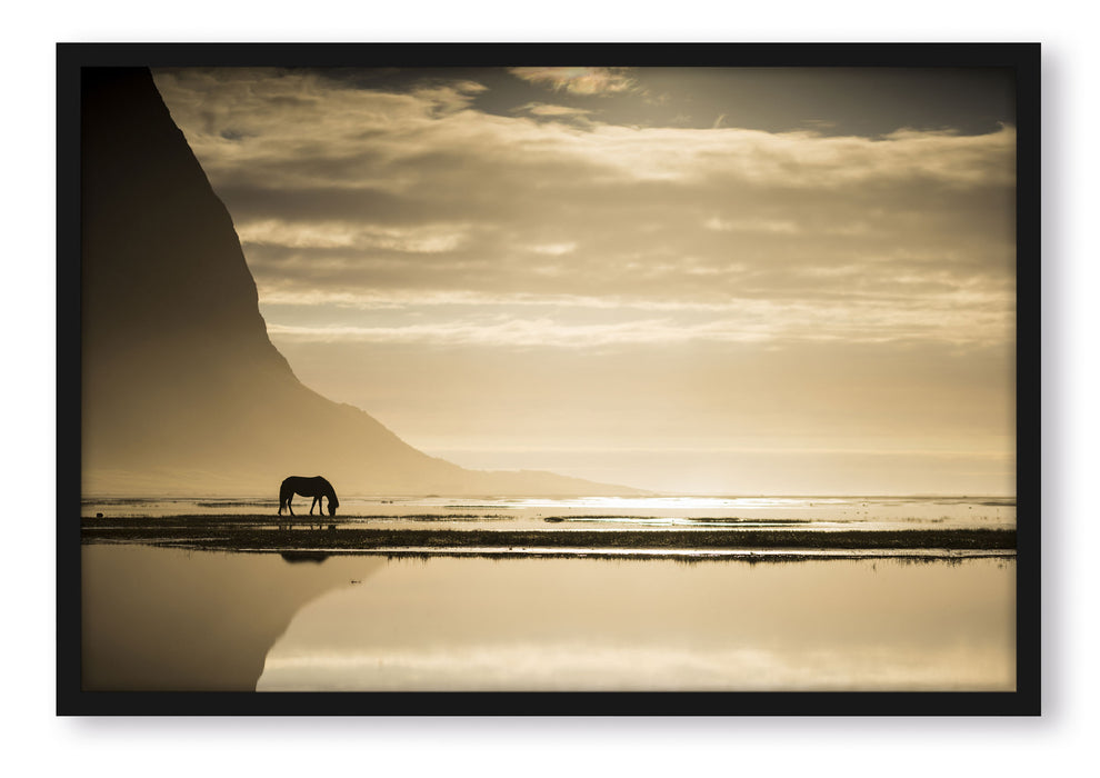 Pixxprint Pferd am Ufer einer Insel, Poster mit Bilderrahmen