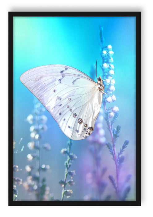 Pixxprint Schmetterling auf Blütenknospen, Poster mit Bilderrahmen