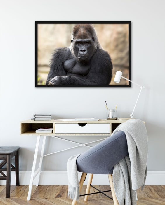 gelangweilter Gorilla, Poster mit Bilderrahmen