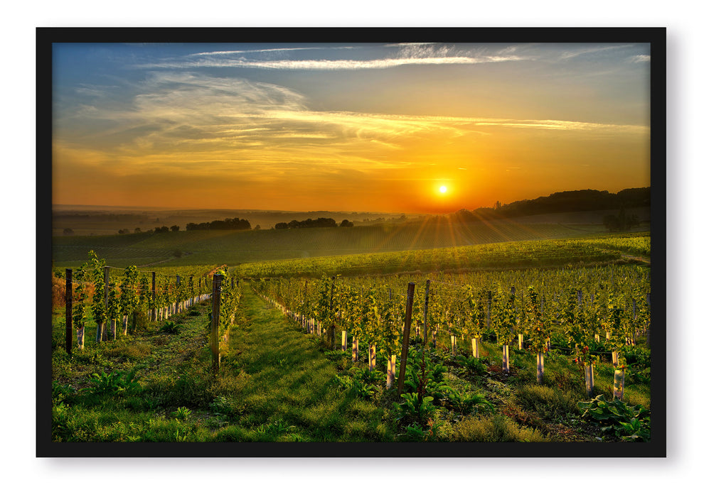 Pixxprint Weinberg in Bergerac Frankreich, Poster mit Bilderrahmen