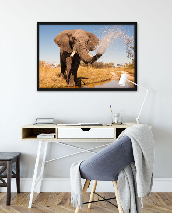 schöner Elefant spritzt mit Wasser, Poster mit Bilderrahmen