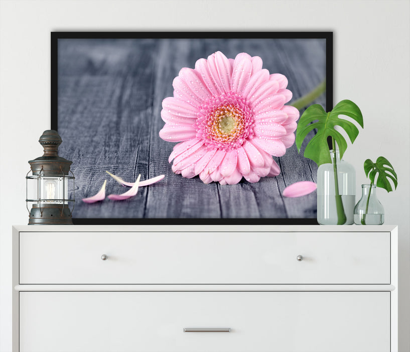 pinke Gerbera auf rustikalem Boden, Poster mit Bilderrahmen