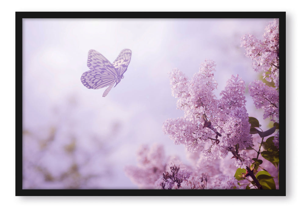 Pixxprint Schmetterling Kirschblüten, Poster mit Bilderrahmen