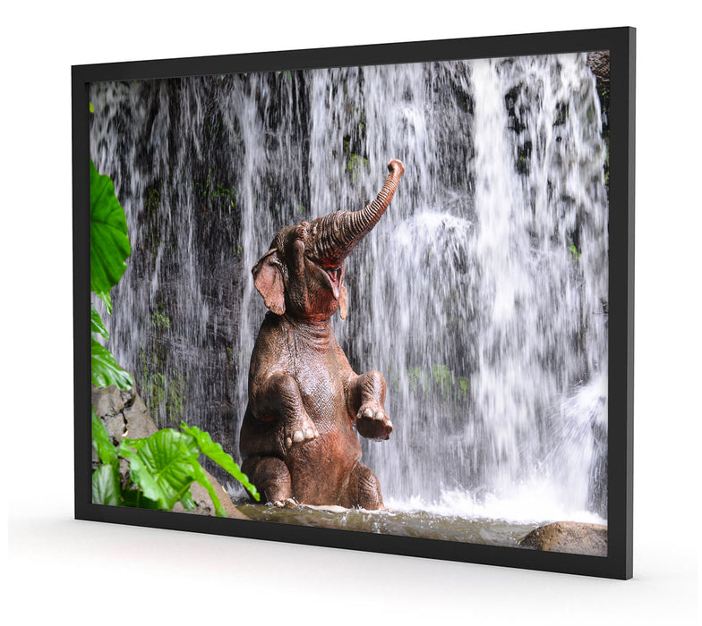 Babyelefant am Wasserfall, Poster mit Bilderrahmen