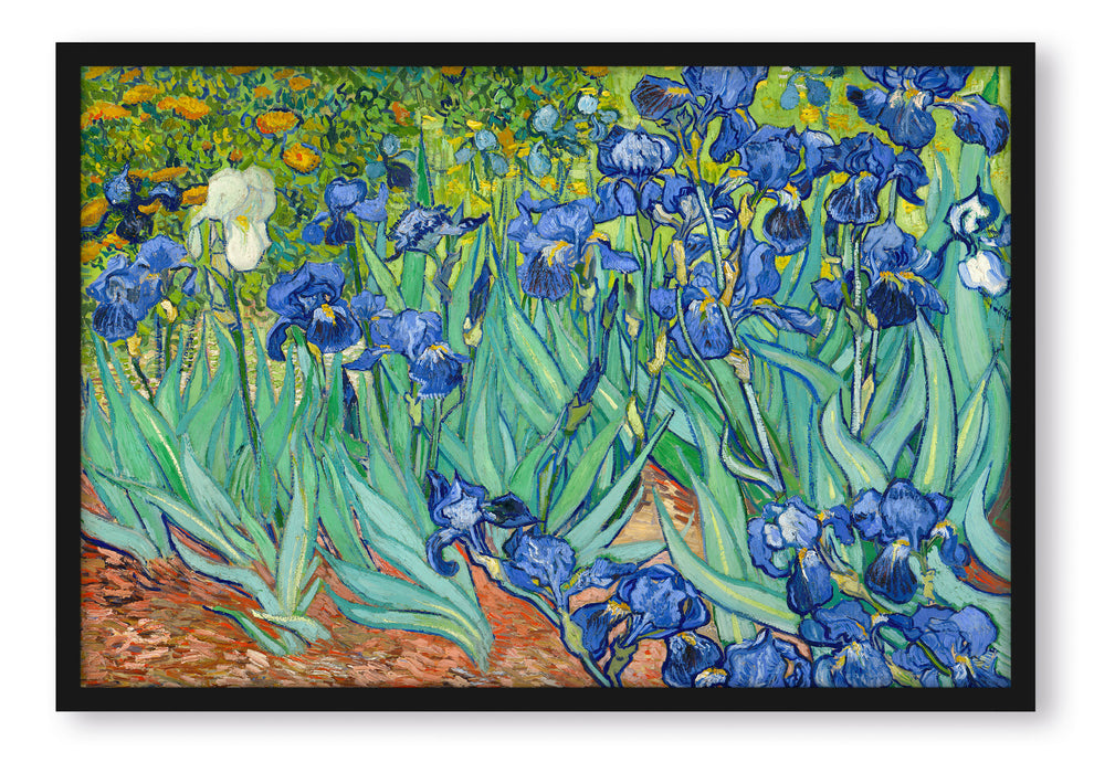 Vincent Van Gogh - Schwertlilien, Poster mit Bilderrahmen