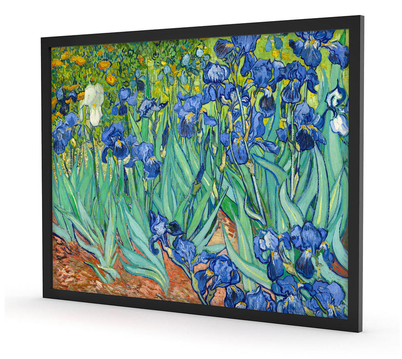 Vincent Van Gogh - Schwertlilien, Poster mit Bilderrahmen