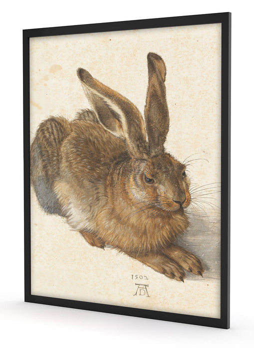 Albrecht Dürer - Feldhase , Poster mit Bilderrahmen
