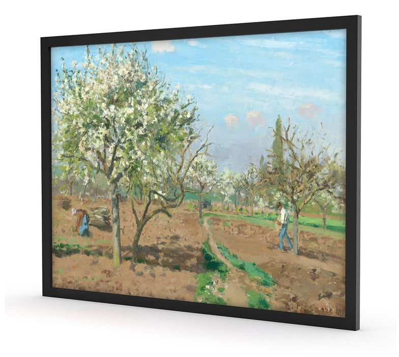 Camille Pissarro - Orchard in Blossom Louveciennes , Poster mit Bilderrahmen