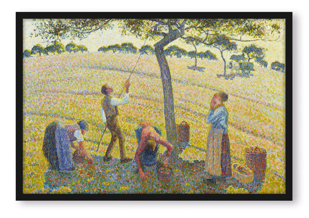 Camille Pissarro - Apple Harvest, Poster mit Bilderrahmen