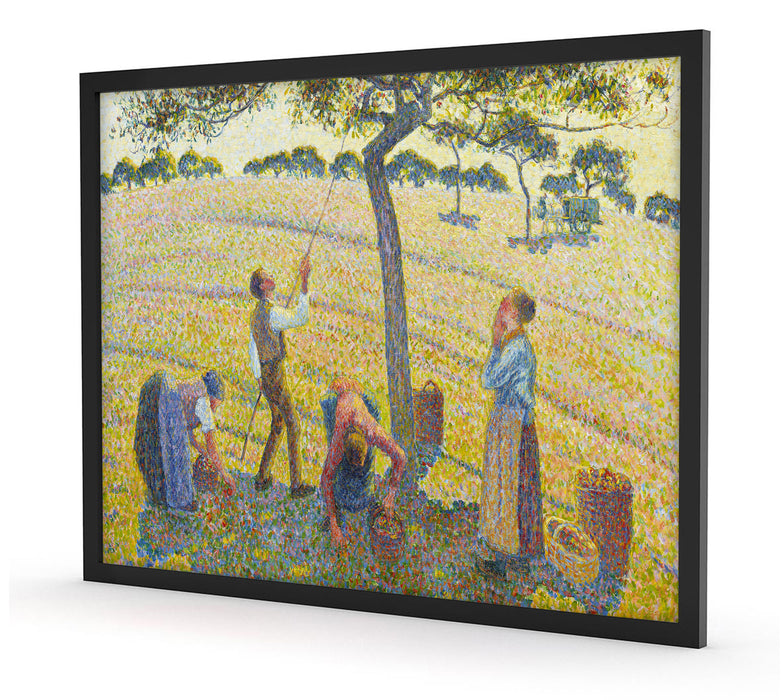 Camille Pissarro - Apple Harvest, Poster mit Bilderrahmen