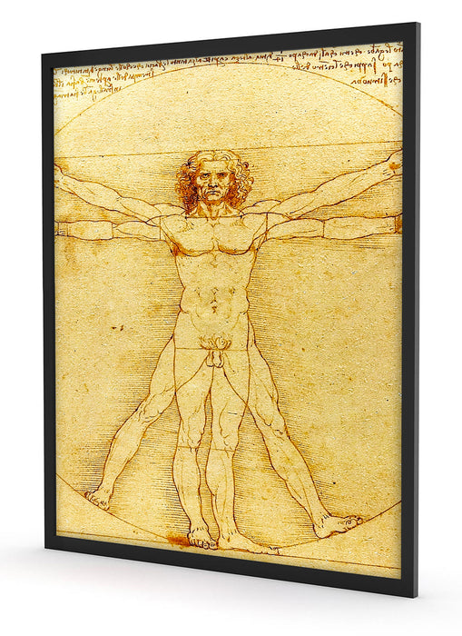 Leonardo da Vinci - Vitruvianischer Mensch, Poster mit Bilderrahmen