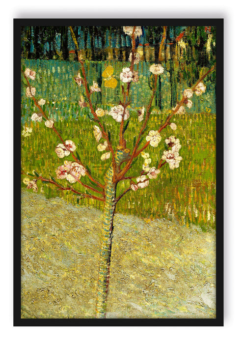 Vincent Van Gogh - Blühender Mandelbaum , Poster mit Bilderrahmen
