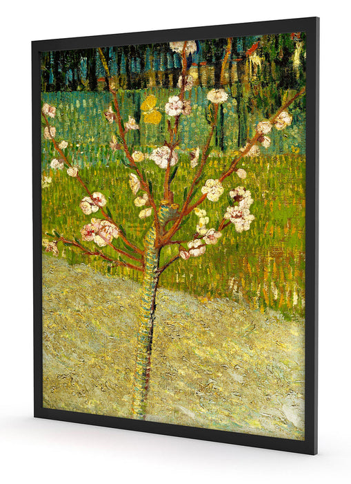 Vincent Van Gogh - Blühender Mandelbaum , Poster mit Bilderrahmen