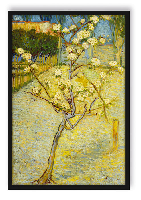 Pixxprint Vincent Van Gogh - Blühender kleiner Birnenbaum , Poster mit Bilderrahmen