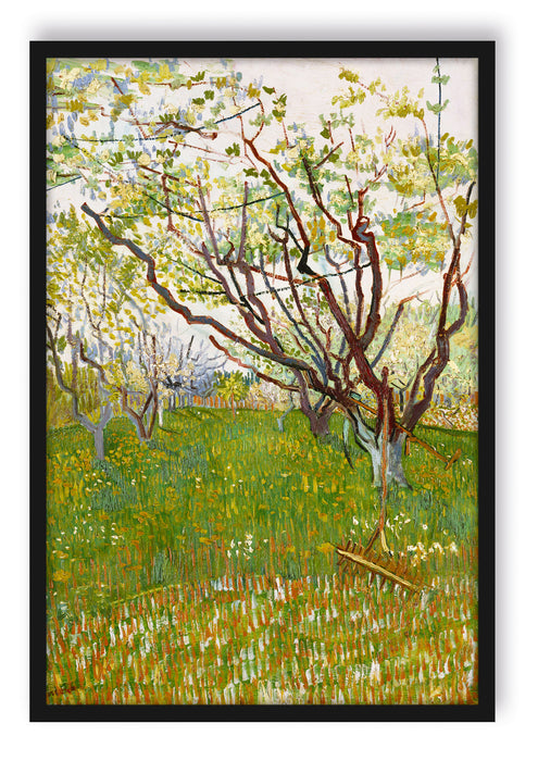 Vincent Van Gogh - Der blühende Obstgarten , Poster mit Bilderrahmen
