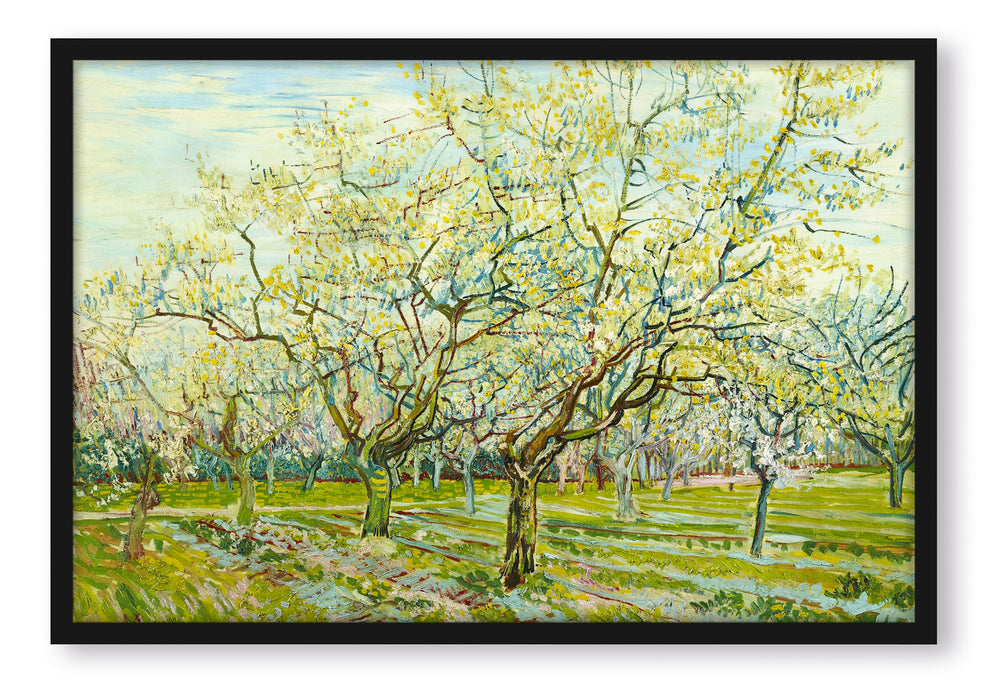 Vincent Van Gogh - Der weiße Obstgarten , Poster mit Bilderrahmen