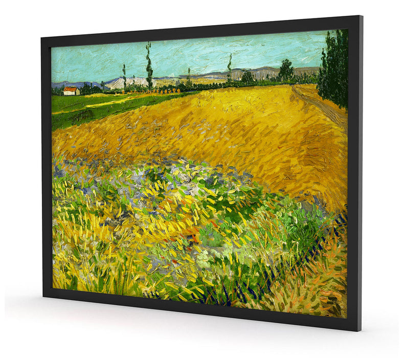 Vincent Van Gogh - Weizenfeld , Poster mit Bilderrahmen